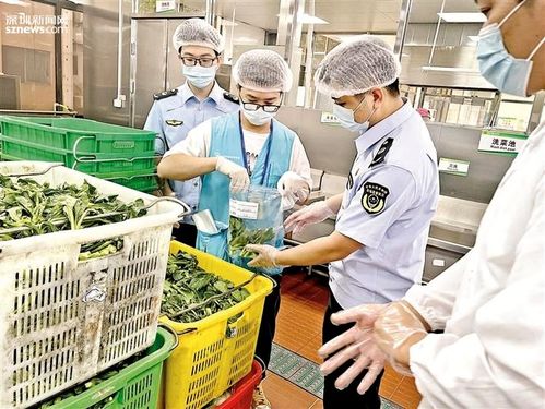市场监管部门抽检105批次食材原料 确保中考考点食堂食品安全