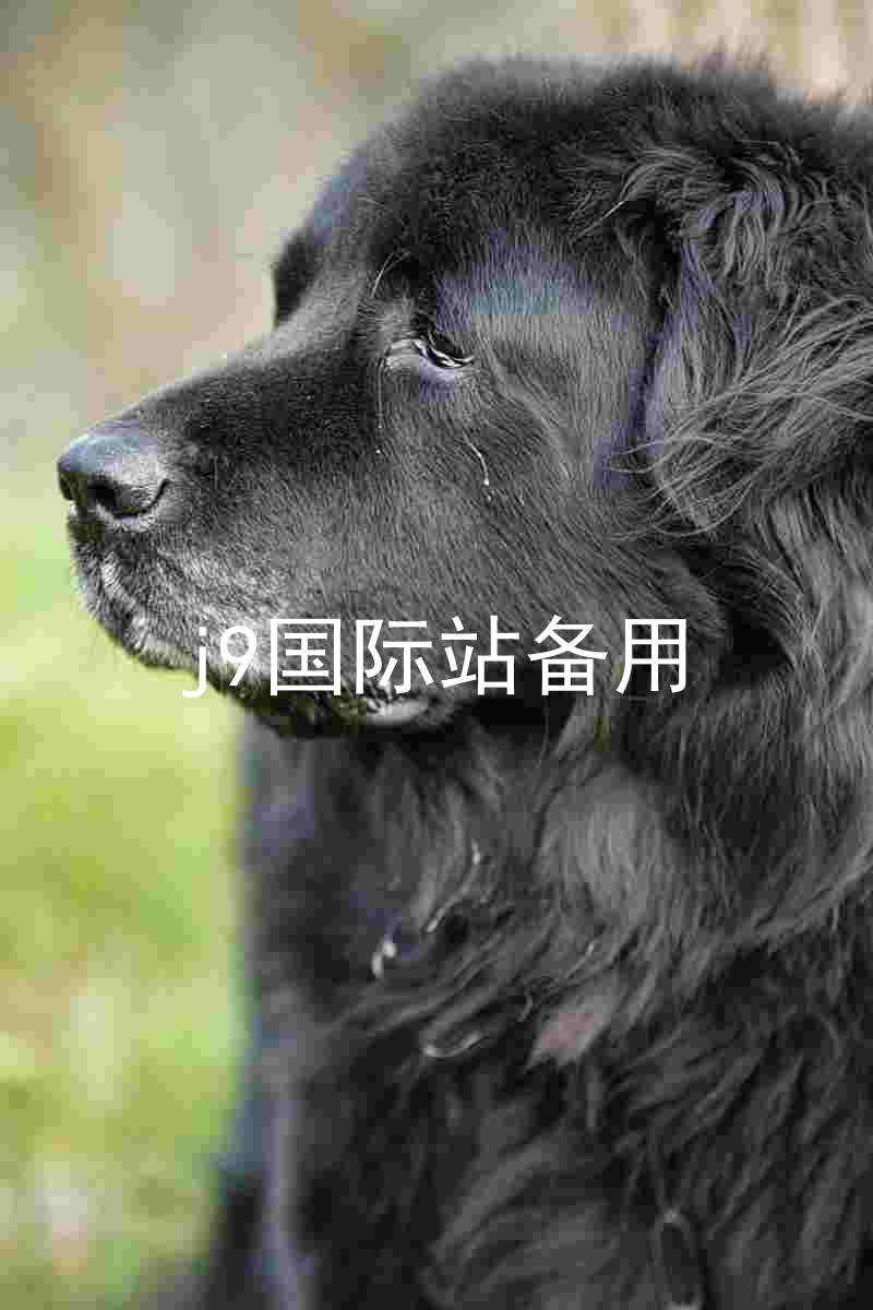 j9国际站备用